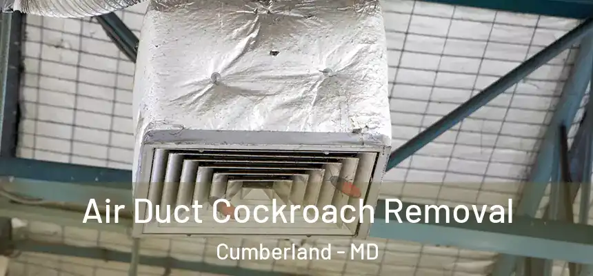  Air Duct Cockroach Removal Cumberland - MD