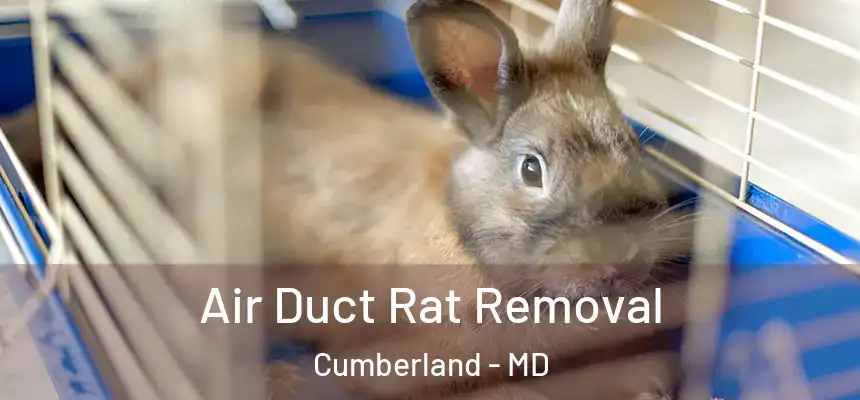  Air Duct Rat Removal Cumberland - MD