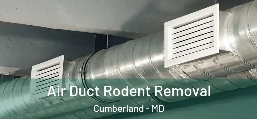  Air Duct Rodent Removal Cumberland - MD