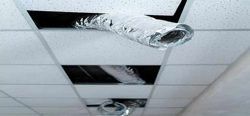 Our Air Duct Pet Hair Removal Services in Cumberland, MD