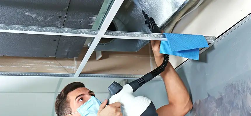 Our Air Duct Rodent Removal Services in Cumberland, MD