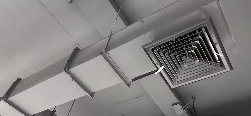 Our Rodent Droppings In Vents Services in Cumberland, MD