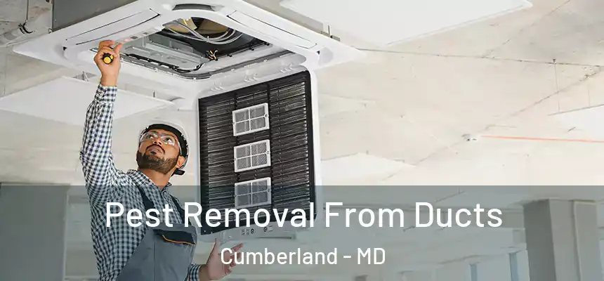  Pest Removal From Ducts Cumberland - MD