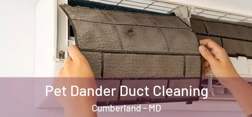 Pet Dander Duct Cleaning Cumberland - MD