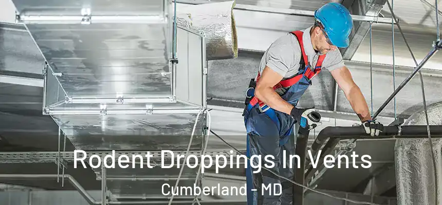  Rodent Droppings In Vents Cumberland - MD