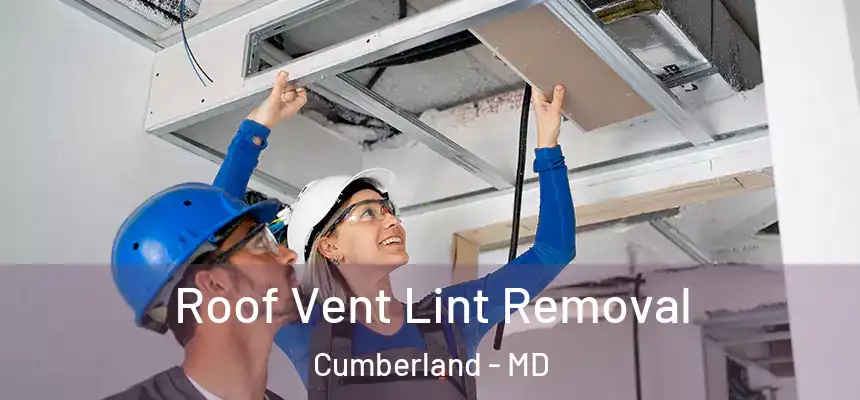 Roof Vent Lint Removal Cumberland - MD