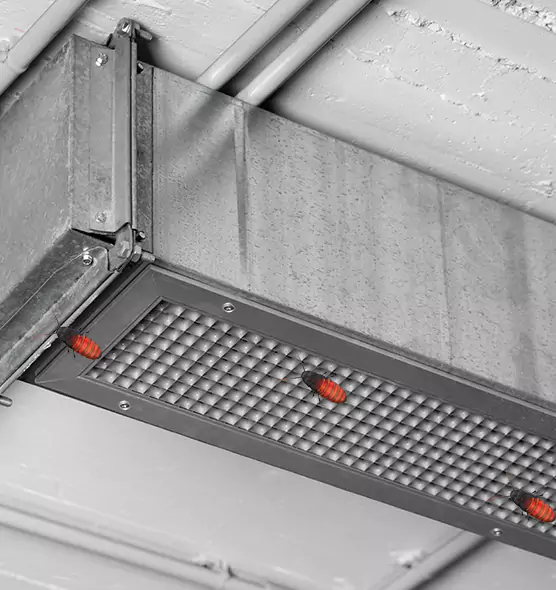 About Air Duct Cockroach Removal in Cumberland, MD
