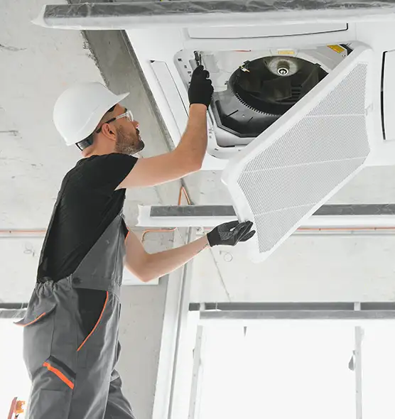 About Air Duct Rodent Removal in Cumberland, MD