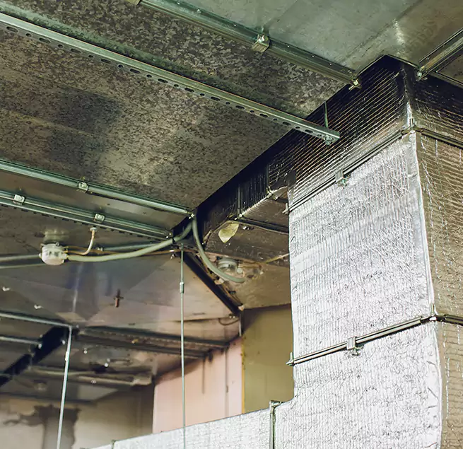 Why Homeowners & Businesses Trust Us in Cumberland, MD?